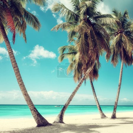 Téléchargez les photos : Superbe plage tropicale paradisiaque avec sable blanc, cocotiers, ciel bleu et mer, arrière-plan de voyage en plein air, concept de vacances d'été, papier peint naturel. Caraïbes, île de Saona, République dominicaine - en image libre de droit