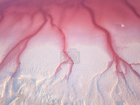 Foto de Increíbles formas de superficie terrestre con agua y sal, fondo abstracto de la naturaleza, vista aérea del lago Syvash rosado extremadamente salado también conocido como Putrid o Rotten Sea. Paisaje de Ucrania, Región de Kherson - Imagen libre de derechos