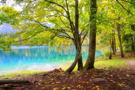 Unterer See Laghi di Fusine, Tarvisio, Italien. Erstaunliche Herbstlandschaft, kristallklares Wasser mit Spiegelung und farbige Wälder umgeben von Mangart-Gebirge, Outdoor-Reisehintergrund