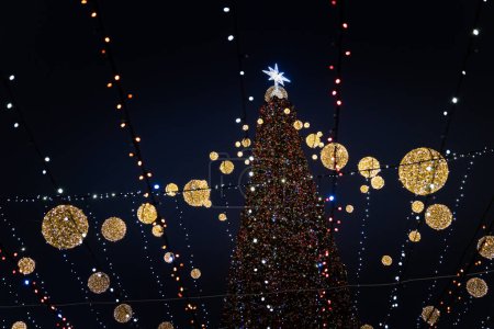 Photo for Kyiv Ukraine - 01.13.2022: The main Christmas tree of Ukraine on St. Sophia Square, Kyiv in 2022 - Royalty Free Image