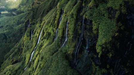 Téléchargez les photos : Paysage des Açores avec cascades et falaises sur l'île de Flores. Portugal. - en image libre de droit