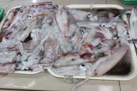 Photo for Squid fresh on bunch sale on fish port Gensan City Philippines - Royalty Free Image