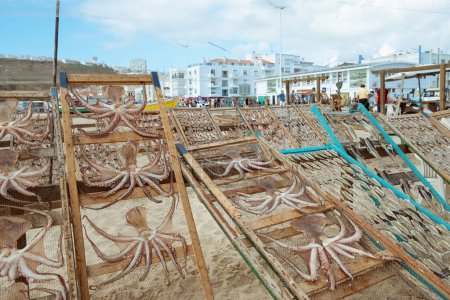 Photo for Portugal, Nazare, 16 August 2022. Dried fish in the open air. Traditional seafood drying in the fishing village of Nazare on the shores of the Atlantic Ocean - Royalty Free Image