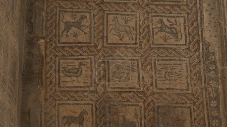 Téléchargez les photos : Mosaic Museum à Djanali, Algérie - en image libre de droit