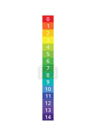 Ilustración de Guide to PH Scale with Spectrum Indicators. Ilustración vectorial - Imagen libre de derechos