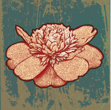 Illustration for Vector images of peony flower on old texture background - Royalty Free Image