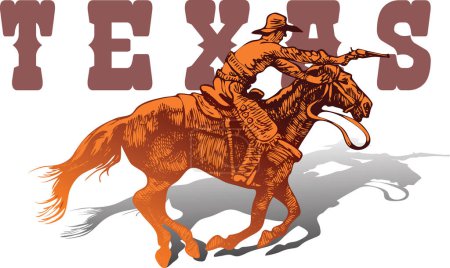 Ilustración de Vector banner poster with cowboy rider riding wild mustang horse and TEXAS lettering on white background in book sketch style - Imagen libre de derechos