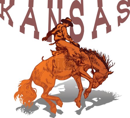 Ilustración de Vector banner poster with cowboy rider riding wild mustang horse and KANSAS lettering on white background in book sketch style - Imagen libre de derechos