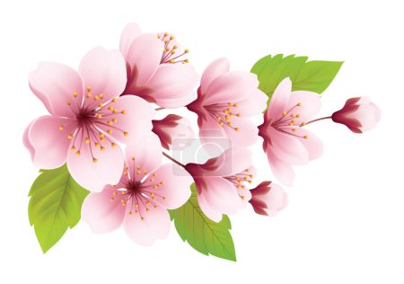 Illustration for Pink Cherry Tree Blossom Branch. Vector Illustration - Royalty Free Image