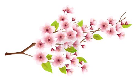 Photo for Pink Cherry Tree Blossom Branch. Vector Illustration - Royalty Free Image