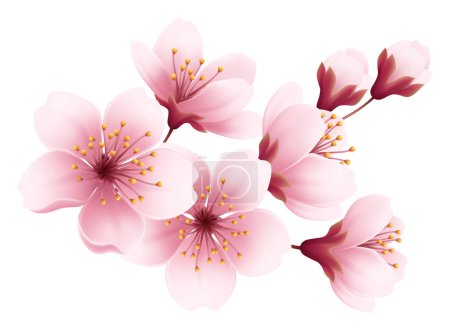 Photo for Pink Cherry Tree Blossom Branch. Vector Illustration - Royalty Free Image