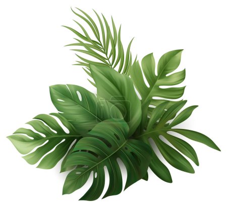 Téléchargez les illustrations : Tropical Palm Leaves. Feuille de plante de Monstera. Illustration vectorielle - en licence libre de droit