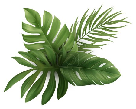Téléchargez les illustrations : Tropical Palm Leaves. Feuille de plante de Monstera. Illustration vectorielle - en licence libre de droit