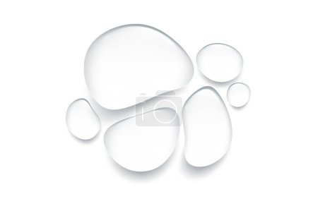 Photo for Water Droplet Transparent Liquid, Bubble, Purity, Serum Reflection on Surface. Vector Illustration - Royalty Free Image
