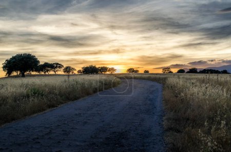 Photo for Winter sunset in the fields of Castilo de Viuelas, Tres Cantos, Madrid. - Royalty Free Image