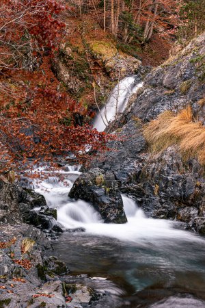 Water falls of the Ara river, in the Bujaruelo valley, Monte Perdido-Ordesa, Huesca, Spain