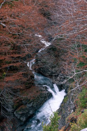 Water falls of the Ara river, in the Bujaruelo valley, Monte Perdido-Ordesa, Huesca, Spain