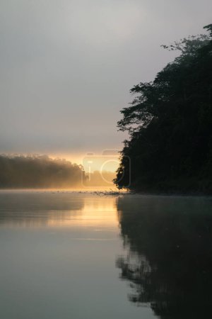 First sunlight with sunbeams in the fog at Kinabatangan River in Sukau, Sabah, Borneo, Malaysia