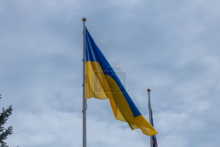 Photo for The flag of Ukraine is a big national symbol. Independence Constitution Day, National holiday. Close-up with the flag of Ukraine. - Royalty Free Image