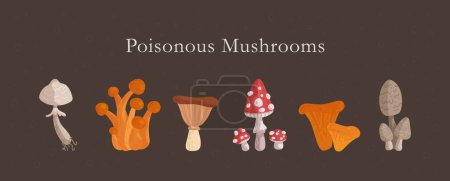 Téléchargez les illustrations : Bel ensemble de champignons toxiques sur fond brun. Illustration vectorielle de mouche agarique, faux opium, fausses chanterelles, grèbes pâles et autres. - en licence libre de droit
