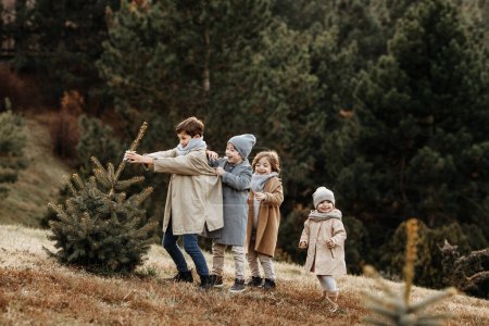 Photo for Children pulling out a small fir tree for Christmas in a forest. - Royalty Free Image
