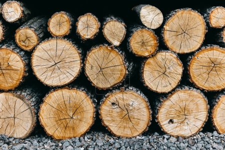 Photo for Stack of cut firewood logs. - Royalty Free Image