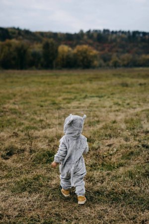 Téléchargez les photos : Petit enfant en costume de souris en peluche marchant dans un champ ouvert vers une forêt. - en image libre de droit