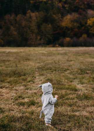 Téléchargez les photos : Petit enfant en costume de souris en peluche debout dans un champ ouvert, regardant vers une forêt. - en image libre de droit