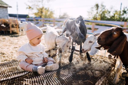 Foto de Niño en un zoológico de mascotas sentado junto a cabras, al aire libre. - Imagen libre de derechos
