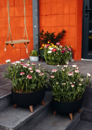 Photo for Flower shop stairs with big flower pots with different flowers. - Royalty Free Image