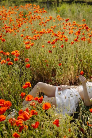 Téléchargez les photos : Femme couchée dans un champ avec des coquelicots rouges sauvages, portant une robe blanche. - en image libre de droit