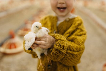 Foto de Primer plano de un niño sosteniendo a un polluelo en una granja avícola, en un granero. - Imagen libre de derechos