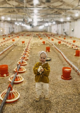 Téléchargez les photos : Petite fille heureuse tenant une poulette dans une ferme avicole, souriante. - en image libre de droit