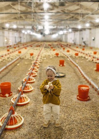 Téléchargez les photos : Petite fille heureuse tenant une poulette dans une ferme avicole dans une grange, souriant. - en image libre de droit