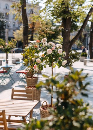 Foto de Tranquilo entorno de café al aire libre con rosas florecientes y muebles de madera. - Imagen libre de derechos