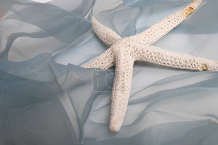 Photo for Starfish on the blue organza - Royalty Free Image
