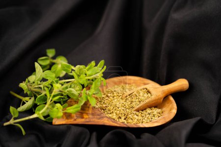 Photo for Oregano origanum vulgar delicious kitchen herbs - Royalty Free Image