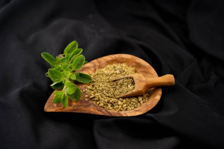 Photo for Oregano origanum vulgar delicious kitchen herbs - Royalty Free Image