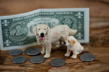 how expensive is a pet