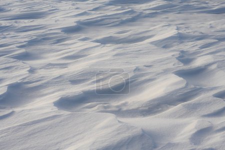 Photo for Interesting snowdrift patterns with blue cast shadows caused by a late day sun. - Royalty Free Image