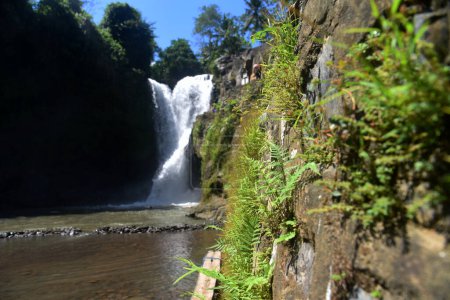 Photo for Tegenungan waterfall at Gianyar regency of Bali - Royalty Free Image