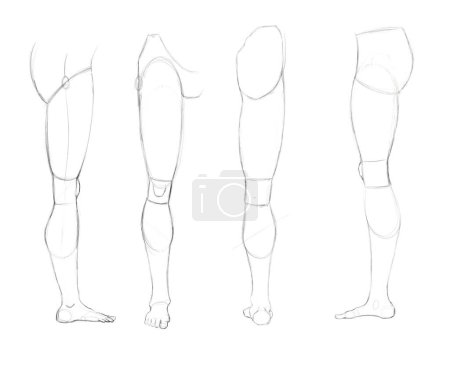 Téléchargez les photos : Croquis d'une jambe humaine avec un simple crayon. Construire une jambe pour apprendre à dessiner. - en image libre de droit
