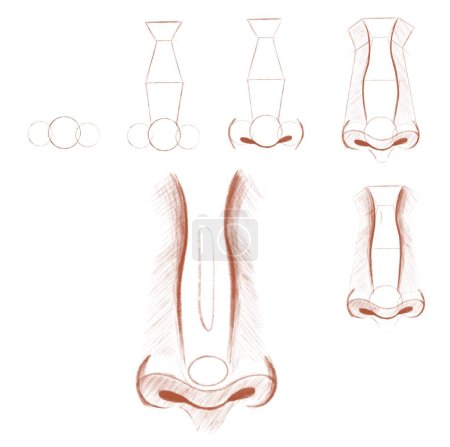 Tutorial on drawing a human nose. Educational sketch for drawing. Sketching for various uses.
