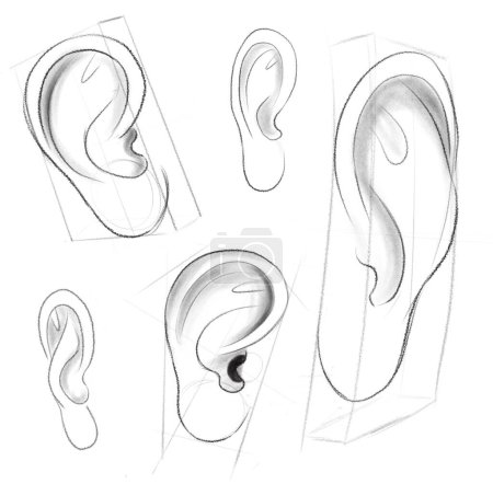 Das menschliche Ohr steckt in einfachen geometrischen Formen. Anleitung zum Zeichnen eines menschlichen Ohres. Lehrskizze zum Zeichnen. Skizzen für verschiedene Zwecke.