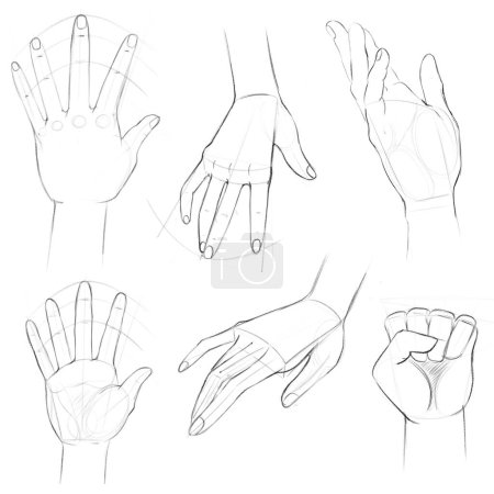 Photo for Sketches of human hands in foreshortenings and turns. Drawing with auxiliary lines. Tutorial for artists. Drawing for different uses. - Royalty Free Image