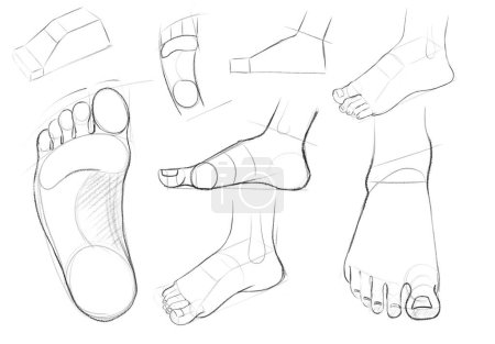Skizzen menschlicher Beine in Verkürzungen und Wendungen. Zeichnen mit Hilfslinien. Tutorial für Künstler. Zeichnung für verschiedene Zwecke.