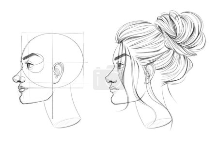 Photo for Construction of the human head in profile. Drawing with auxiliary lines. Tutorial for artists. Drawing for different uses. - Royalty Free Image