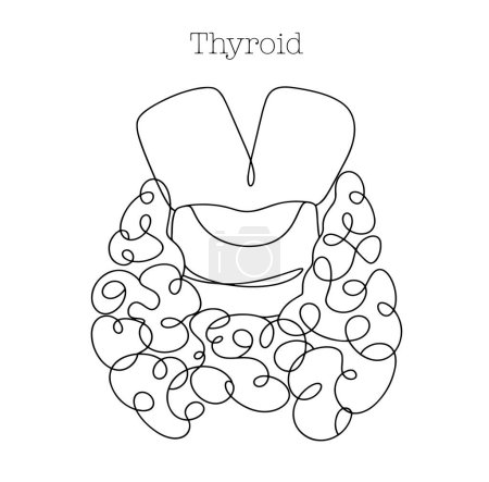 Illustration for Human thyroid gland. Anatomical drawing. World Thyroid Day. One line drawing for different uses. Vector illustration. - Royalty Free Image