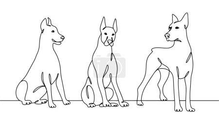 Illustration for Stately Doberman in different poses. Short haired working dog. International Dog Day. One line drawing for different uses. Vector illustration. - Royalty Free Image