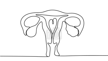 Illustration for Female reproductive system. Uterus and ovaries. International Gynecological Awareness Day. One line drawing for different uses. Vector illustration. - Royalty Free Image